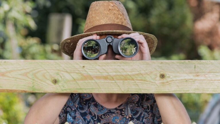 10 Things Florida Neighbors Can Report You For That Are Perfectly Legal