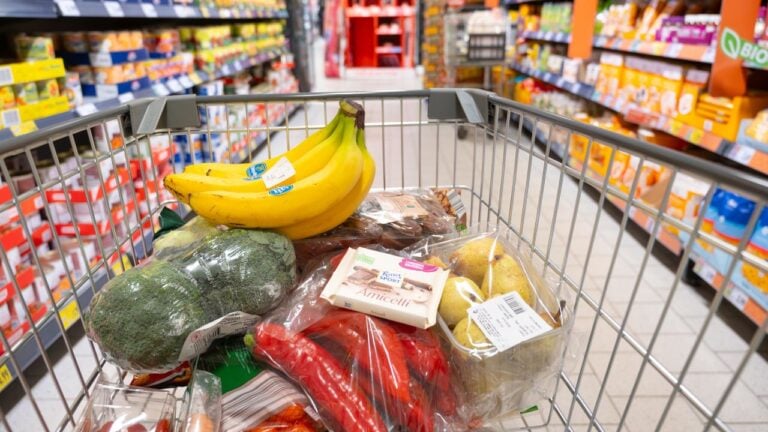 7 Reasons Market Basket Still Won’t Ask New Hampshire Shoppers for a Loyalty Card