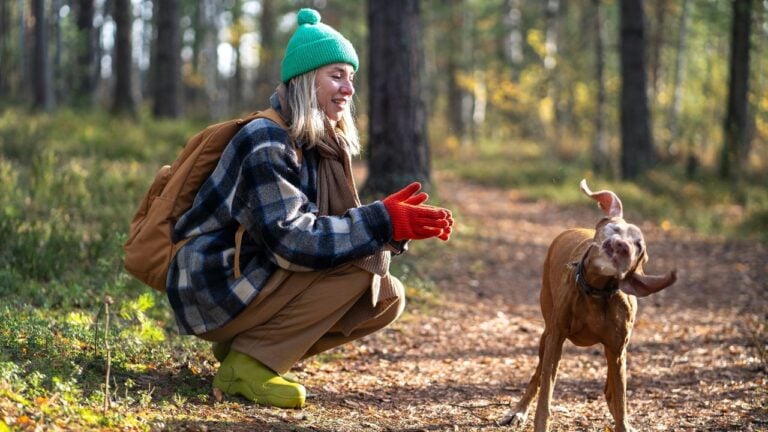 8 Pennsylvania State Park Rules Visitors Get Fined For Every Fall