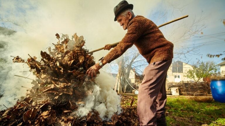 6 Alabama Fall Burn Rules Homeowners Break in Their Backyard