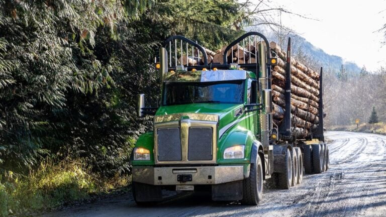 6 Things Montana Loggers Do Before the First Big Snow
