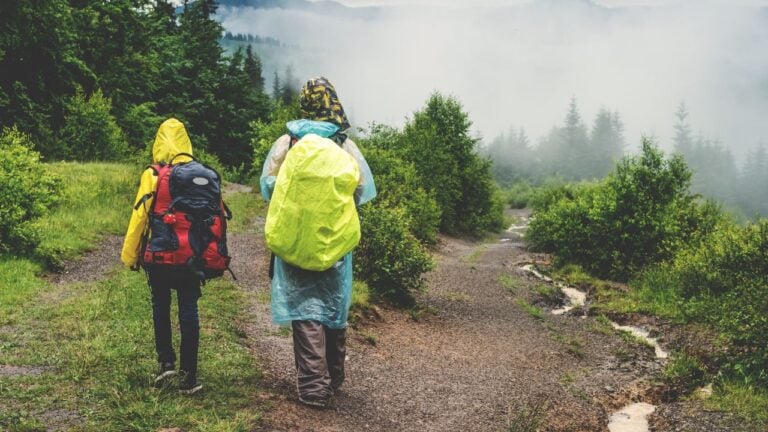 8 Rain Habits That Give Away a Lifelong Oregonian