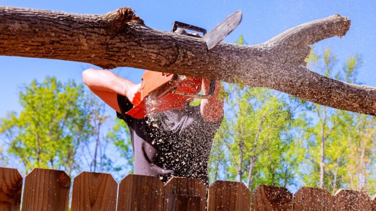 12 Things Georgians Can’t Legally Do on Their Own Land