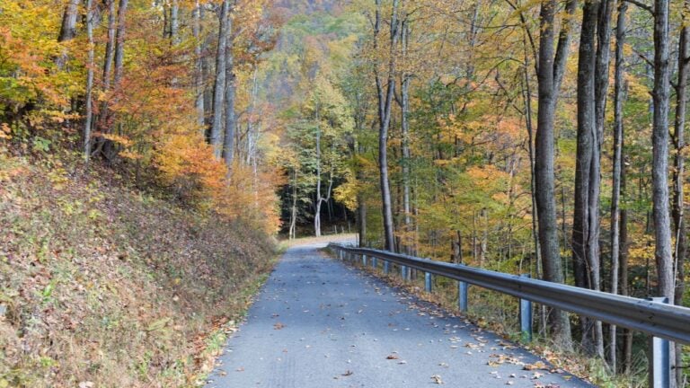 6 West Virginia Scenic Roads That Shut Down for the Winter