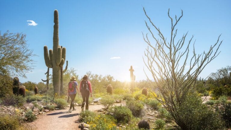 6 Things That Make Arizona Fall Unrecognizable to Anyone From Back East
