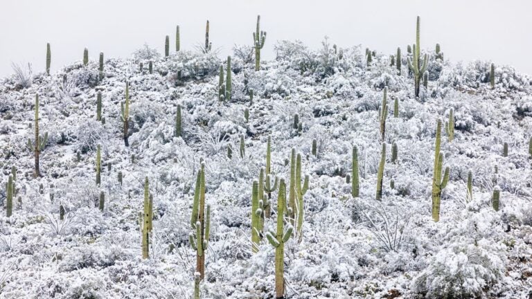 12 Snow and Freeze Facts About Arizona Winters That Snowbirds Should Know Before They Pack