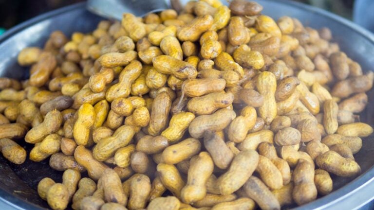 11 Things South Carolinians Never Have to Explain to Each Other