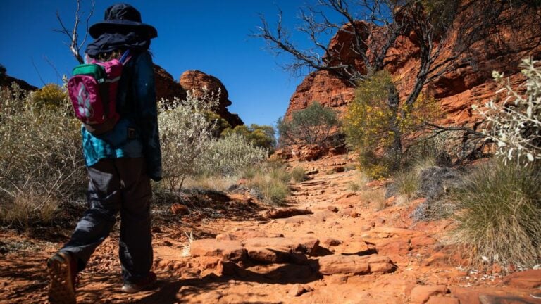 6 Desert Dangers Southern Nevada Agencies Warn Visitors About