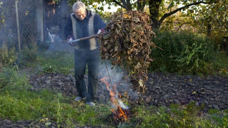 6 Burning Rules That Can Cost Kentucky Homeowners a Fine