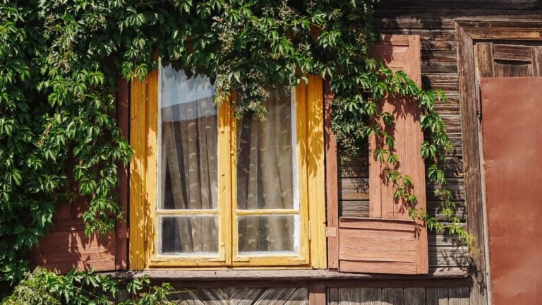 7 Michigan Rules That Decide Who Keeps the Cottage When a Parent Dies