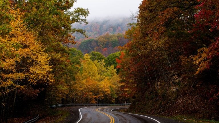 3 Unwritten Rules of Living Up a West Virginia Hollow That Newcomers Break