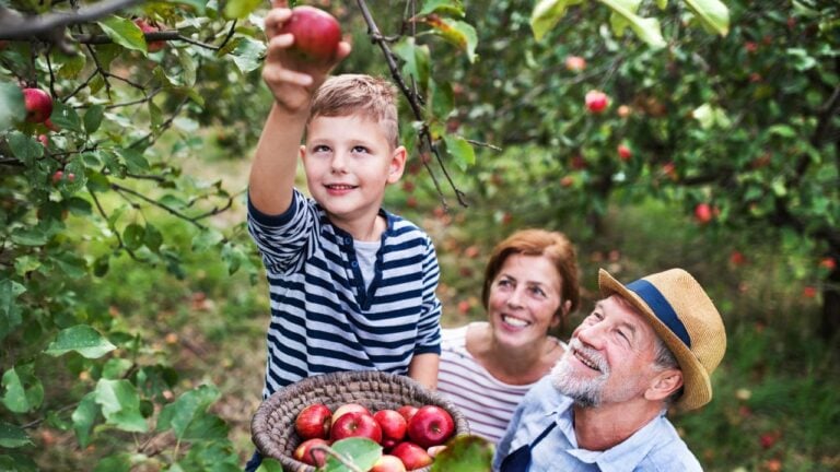 8 Connecticut Apple Orchards Locals Go Back to Every Fall