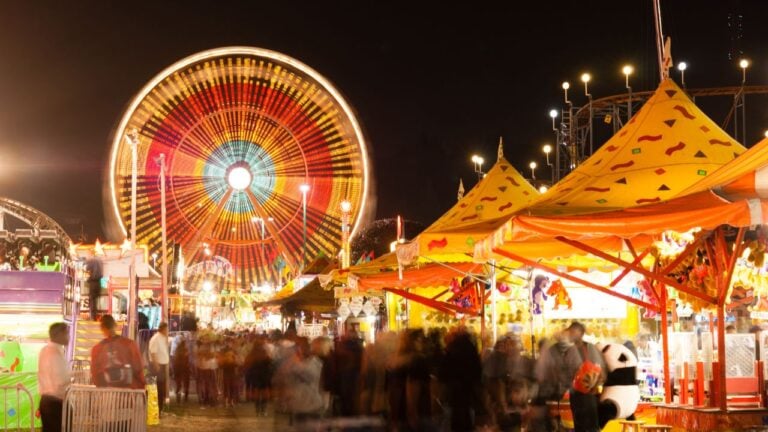 12 Things That Only Happen in North Carolina During State Fair Week