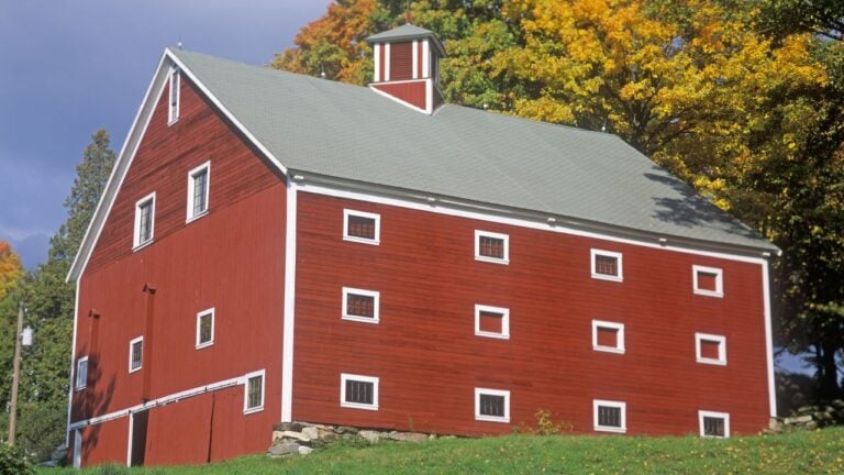 7 Things That Happen in Vermont Once Foliage Season Ends That Nobody Puts on a Postcard