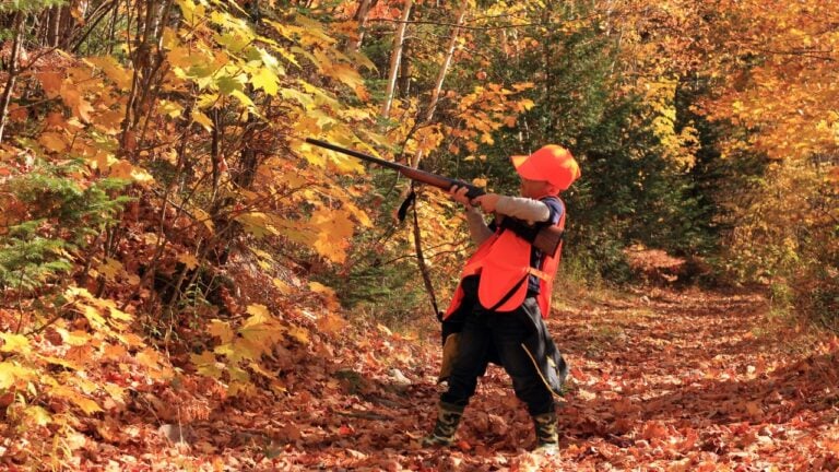 5 Things That Change Across Michigan When Deer Season Opens That Newcomers Never Expect
