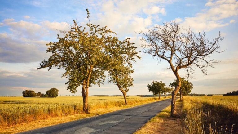 7 Kansas Roadside Stops Worth the Detour, According to People Who Live There