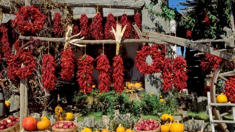 6 Things New Mexico Chile Roasters Know About October That Nobody Else Does