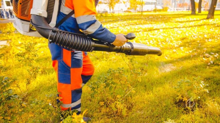 5 Things California’s Gas Leaf Blower Law Changed for Homeowners