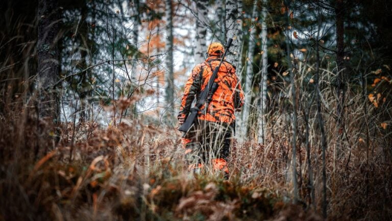 8 Hunting Season Rules Pennsylvanians Who Don’t Hunt Still Need to Know