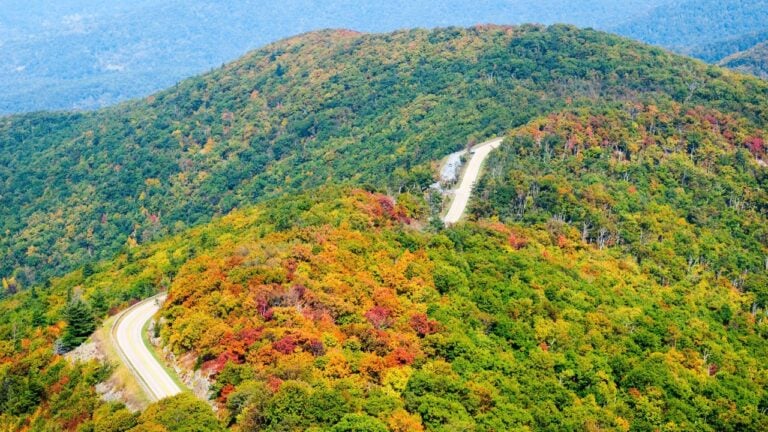 7 Blue Ridge Parkway Stops Virginians Still Love After Peak Color Passes