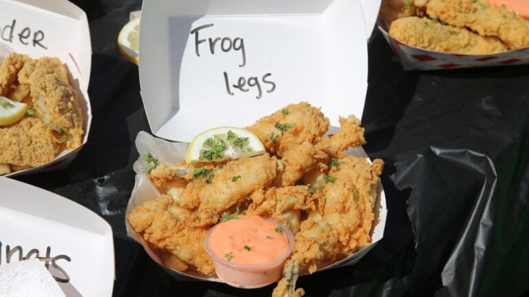 9 Florida Foods Northerners Have to Be Talked Into Trying