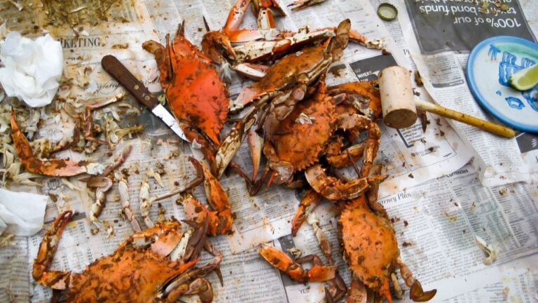 6 Unwritten Rules at a Maryland Crab Feast