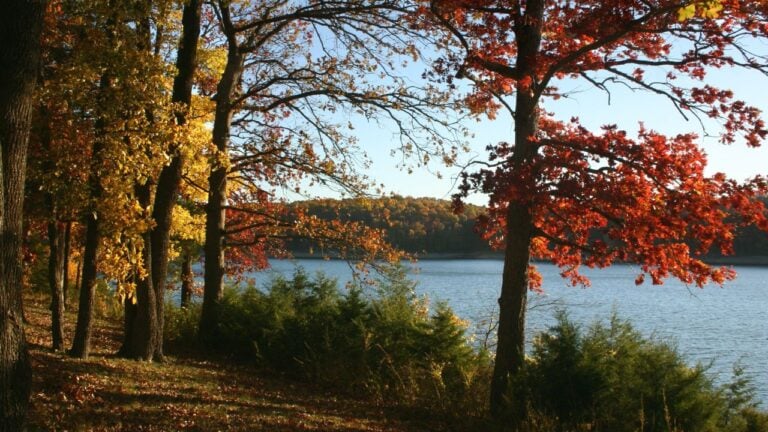 8 Scenic Missouri Drives With Plenty of Comfortable Places to Stop