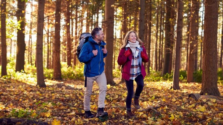 7 South Carolina State Parks That Are Better Once the Weather Cools