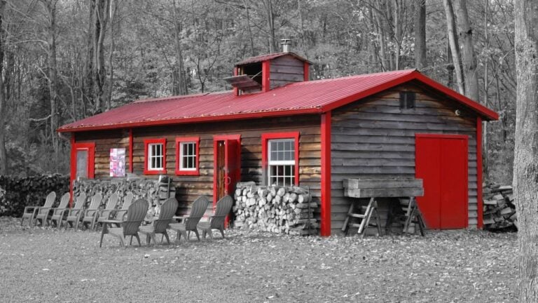 7 Fall Jobs New Hampshire Sugarhouses Can’t Skip