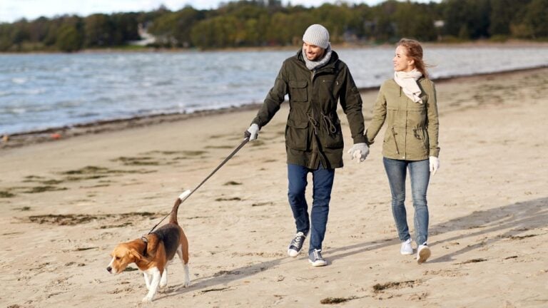 3 Things Delaware Beaches Allow in October That Are Banned All Summer