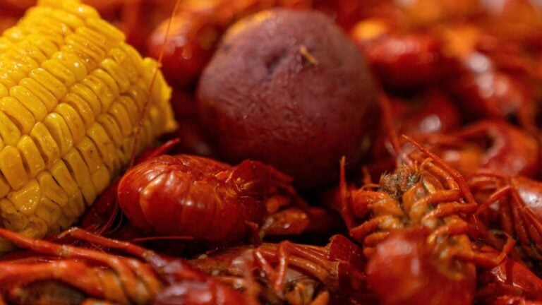 12 Things That Instantly Make a Louisianan Homesick