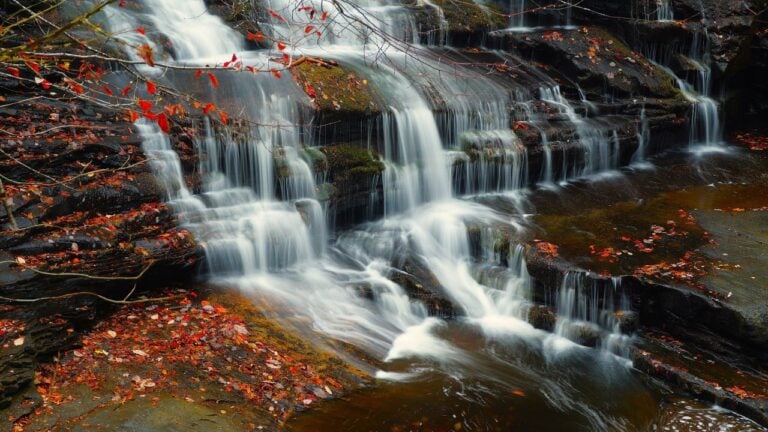 7 Tennessee State Parks Tennesseans Save for Late Fall