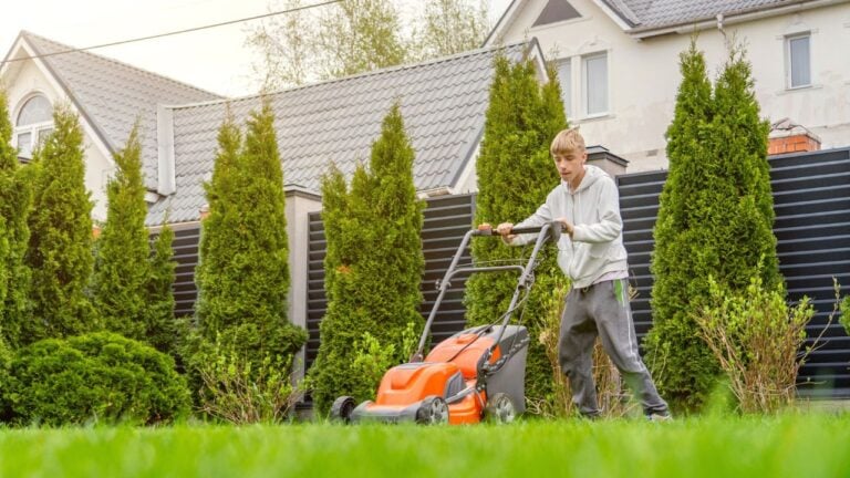 7 Things a South Carolina County Can Fine You for in Your Own Yard