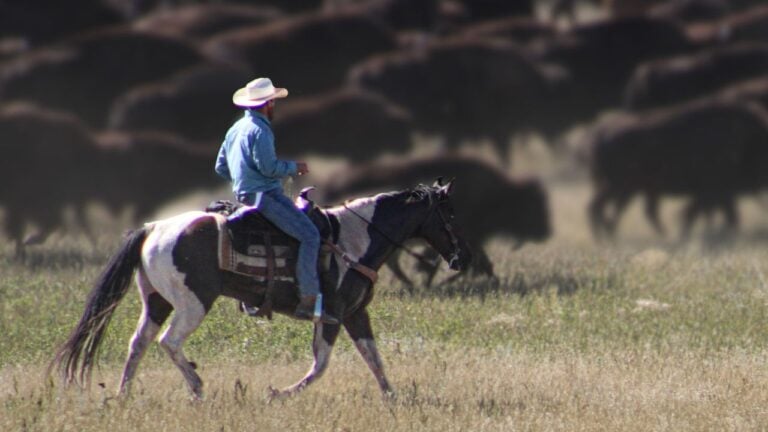 9 Things South Dakotans Know About the Black Hills That Visitors Never See