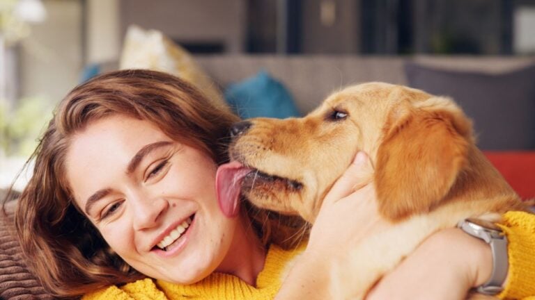9 Ways Georgians Can Tell Their Dog Is Happy
