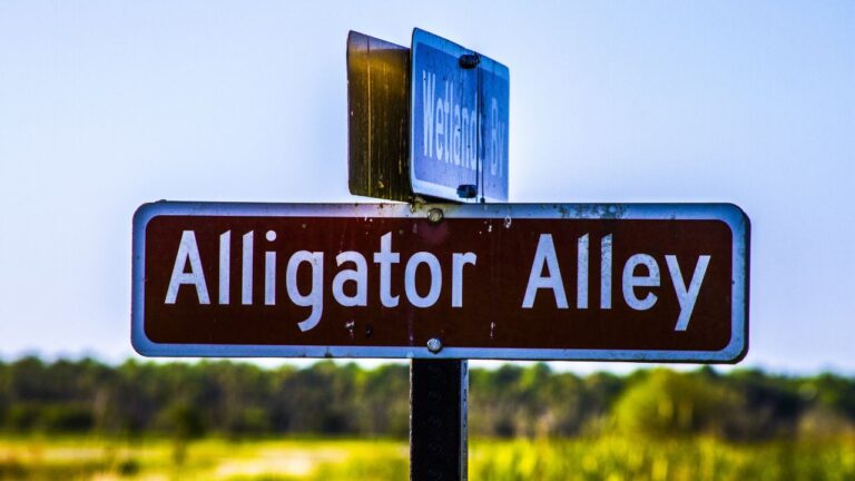 12 Florida Roads Floridians Call by a Name That Isn’t the Route Number