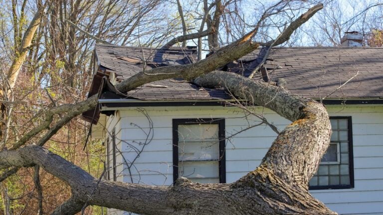 5 Tennessee Rules That Decide Who Pays When a Neighbor’s Tree Falls on Your House