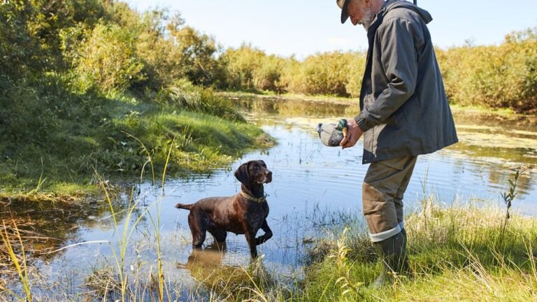 7 Duck Season Traditions Arkansans Plan Their Whole Year Around