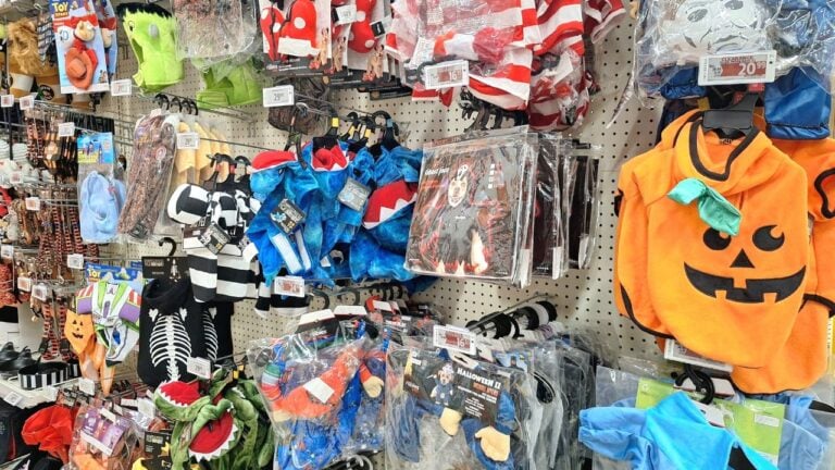 Americans Will Spend $4.4 Billion on Halloween Costumes, and Wisconsinites Are Part of It