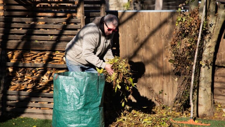 7 Things Virginians Can’t Legally Do With Fallen Leaves