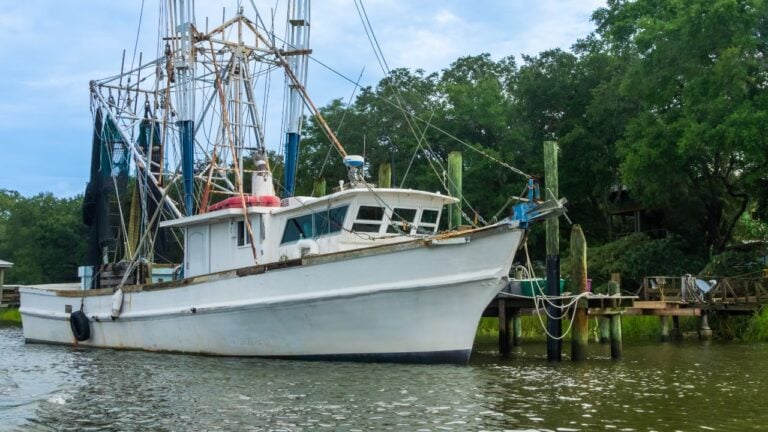 4 Things South Carolina Shrimpers Do When the Season Starts Winding Down