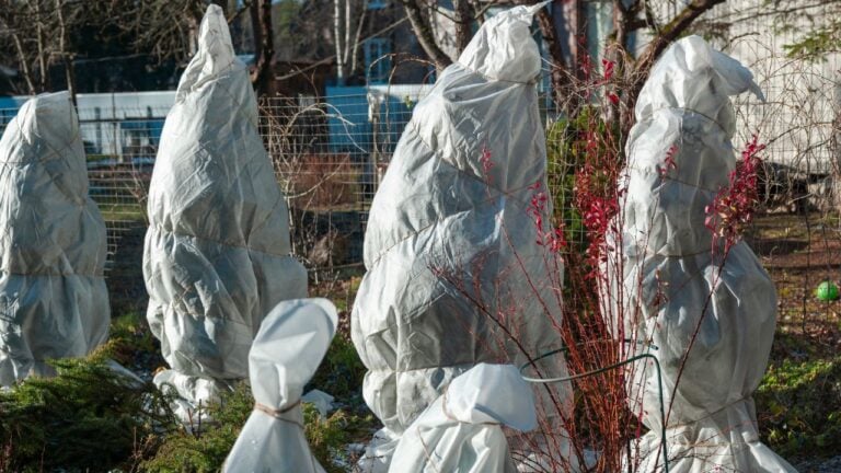7 Things Arizona Homeowners Should Do Before the First Freeze