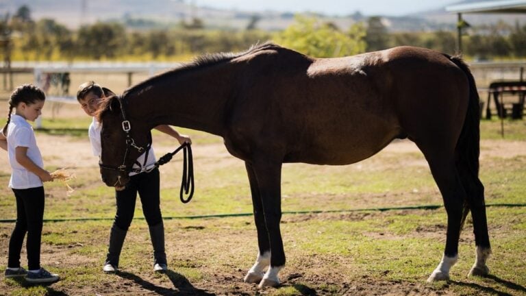 12 Things Only a Kentucky Childhood Teaches You
