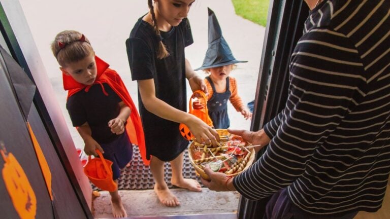 Halloween Candy Costs 7.7% More This Year. What That Means for Floridians Stocking Up for Trick-or-Treaters